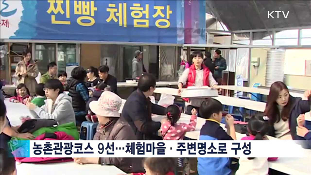 곳곳에서 즐기는 '겨울의 낭만'