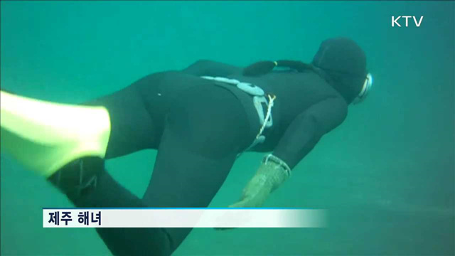 제주 해녀, 19번째 인류무형문화유산 유력