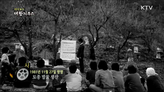 다시보는 대한늬우스 (81.11.27)