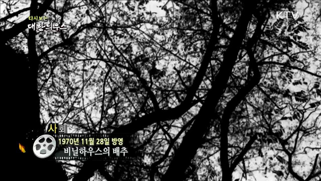 다시보는 대한늬우스 (70.11.28)