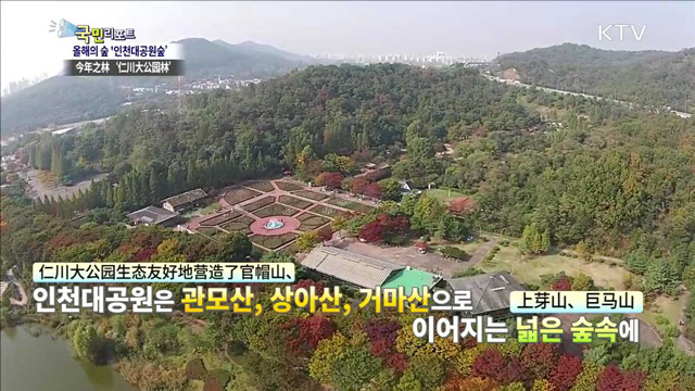 올해 가장 아름다운 숲 '인천대공원숲'