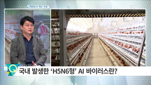 고병원성 AI 확산 ‘비상’ [집중 인터뷰]