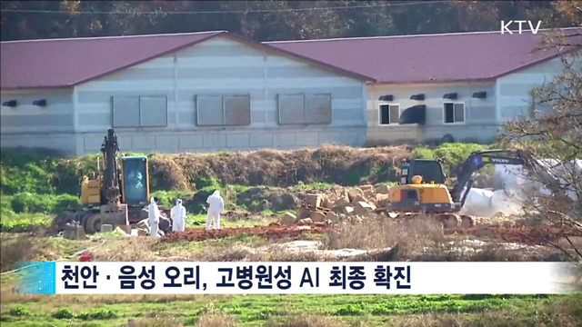 AI 추가 확산, 향후 일주일 '최대 고비'