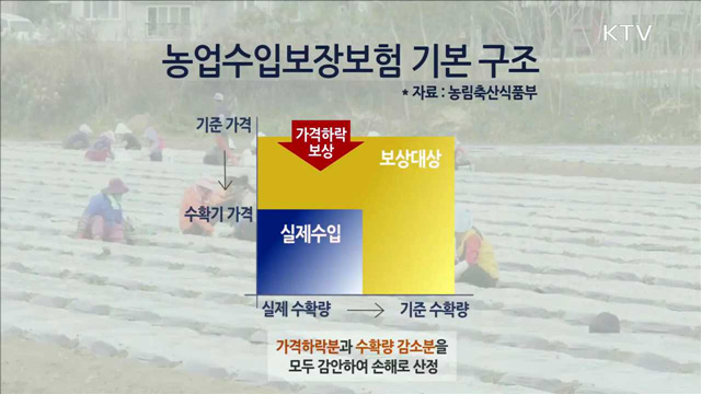 농업수입보장보험