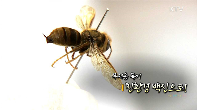 무서운 독이 친환경 백신으로!