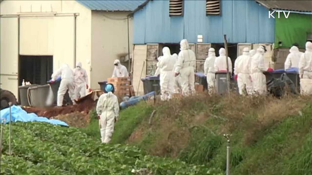 AI 관련 관계기관 회의…방역 점검·대책 논의