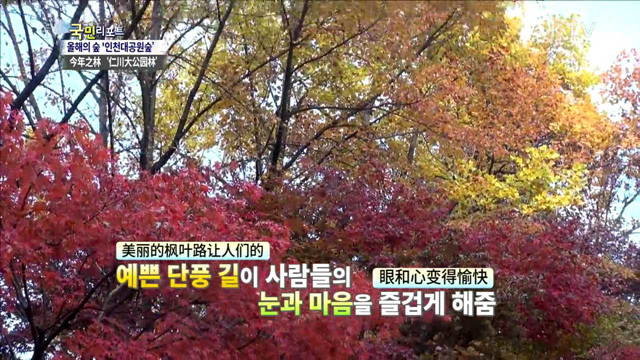 올해 가장 아름다운 숲 '인천대공원숲'