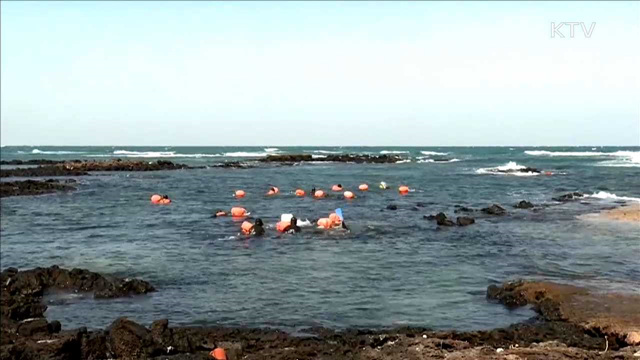 '제주 해녀문화' 유네스코 인류무형문화유산 등재