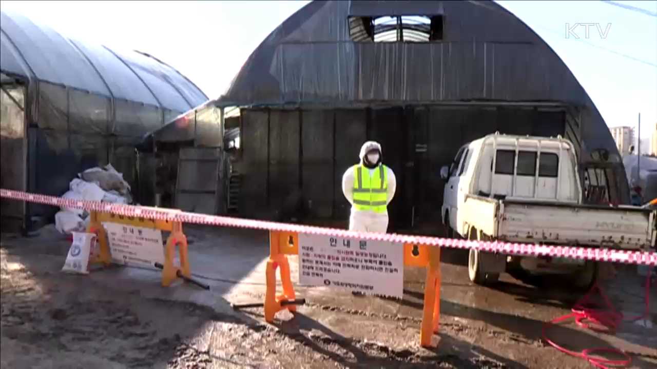 '전남 장성'·'강원 철원'에서도 AI 추가 확진