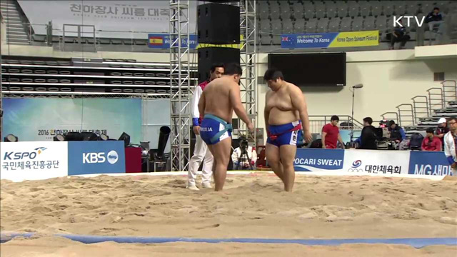 '씨름''한양도성' 유네스코 등재 추진