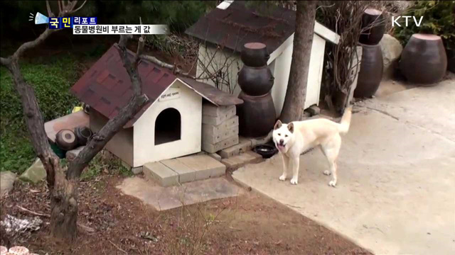 반려동물 진료비 천차만별…최대 18배 차이 