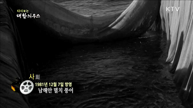 다시보는 대한늬우스 (81.12.07)