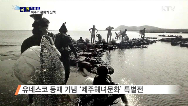 이주의 문화가 산책 (16. 12. 08. 8시)