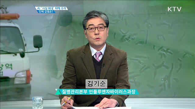 AI '사상 최대' 피해 우려 인체 감염은? [집중 인터뷰]