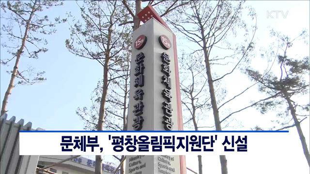문체부, '평창올림픽지원단' 신설