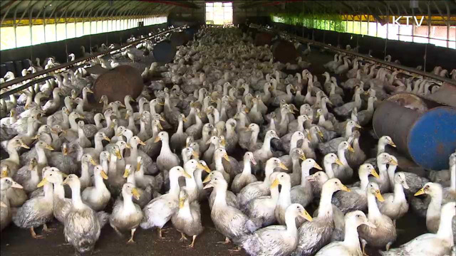 오늘 자정부터 48시간 '일시 이동중지'