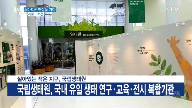 4시& 브리핑 (127회)