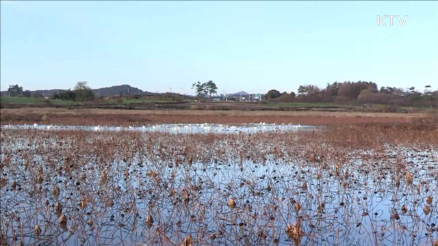 AI 매몰지 관리 강화…지하수 수질 감시