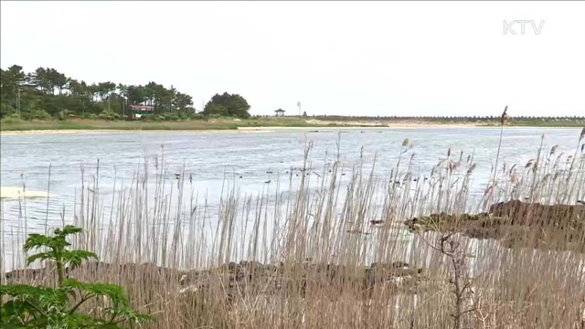 "AI 확산 차단에 농가·국민 협조 당부"