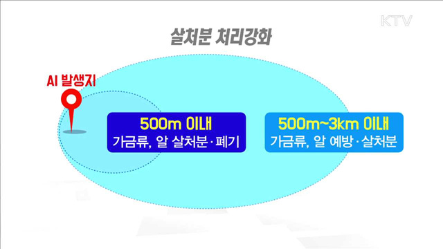 AI 기동방역타격대 운영…계란수입 지원