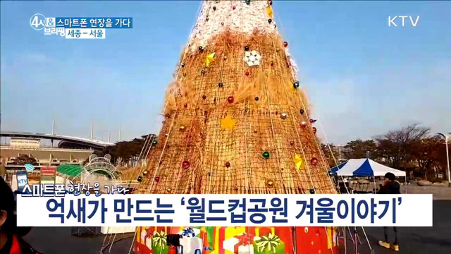 억새가 만드는 '월드컵공원 겨울이야기'