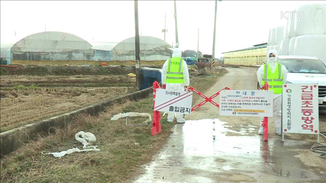 "AI 인체 감염성 낮아"…'개인위생 철저' 당부