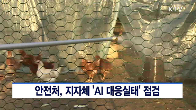 안전처, 지자체 'AI 대응실태' 점검