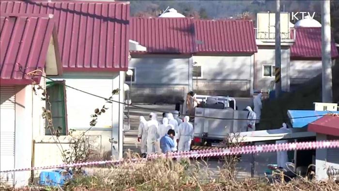 "AI 인체 감염성 낮아"…'개인위생 철저' 당부