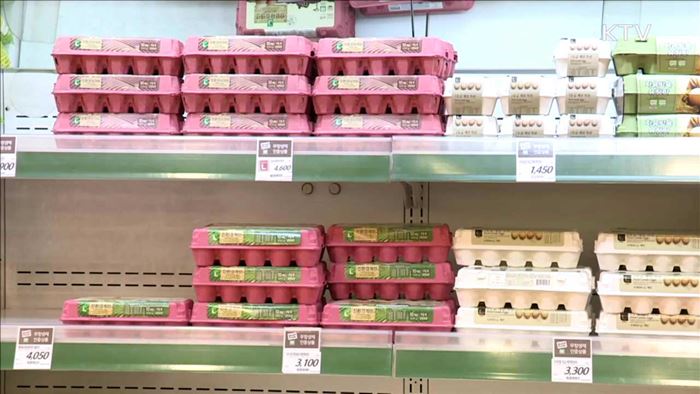 KTV 뉴스 (17시) (487회)