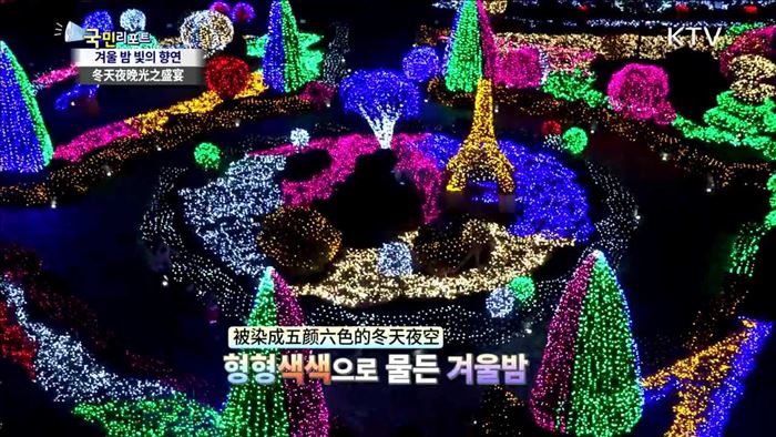 겨울 밤 화려하게 수놓은 빛의 예술