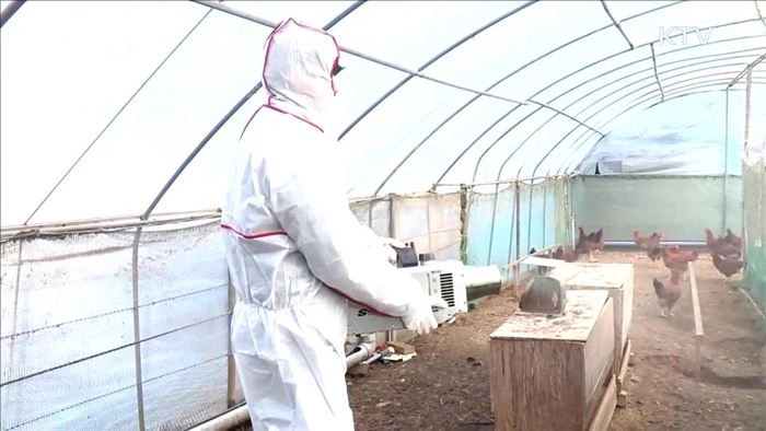 KTV 뉴스 (17시) (491회)