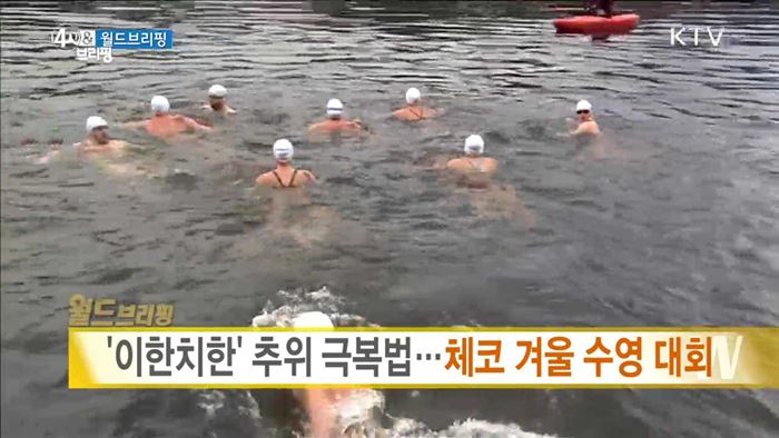 '이한치한' 추위 극복법···체코 겨울 수영 대회 [월드 브리핑]