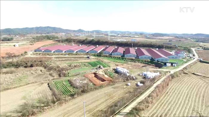 부처 전방위 대응…계란사재기 합동단속