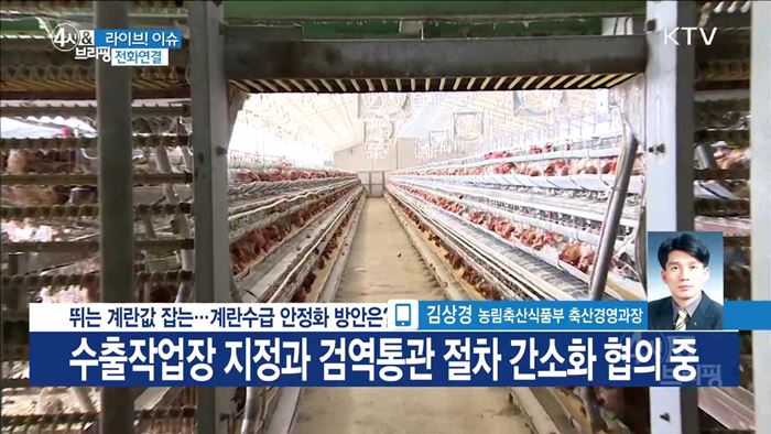 뛰는 계란값 잡는···계란수급 안정화 방안은? [라이브 이슈]