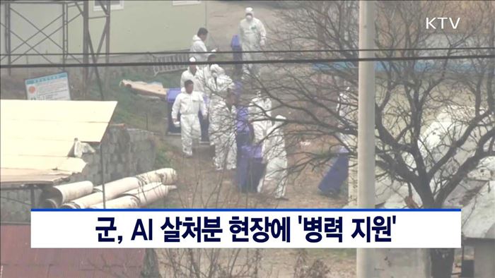 AI '살처분 현장'에 군병력 지원