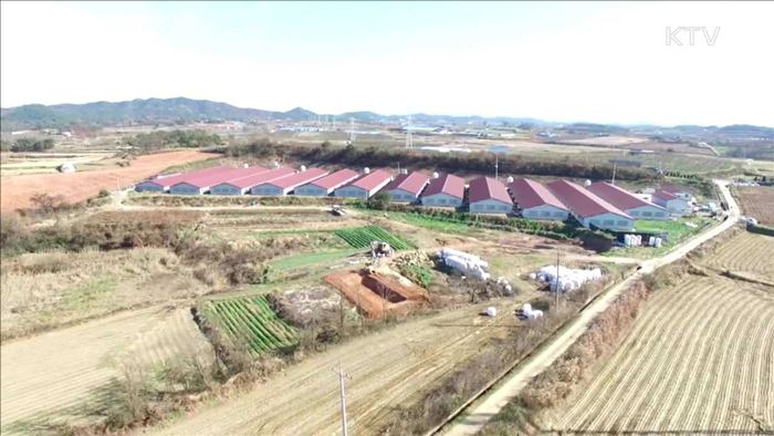 "AI 의심신고 감소 중…긴장의 끈 이어가야"