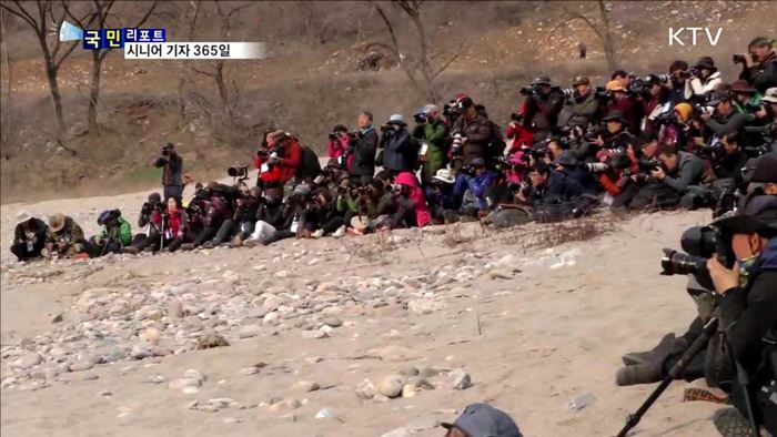 시니어기자의 열정…2016년 365일 기록