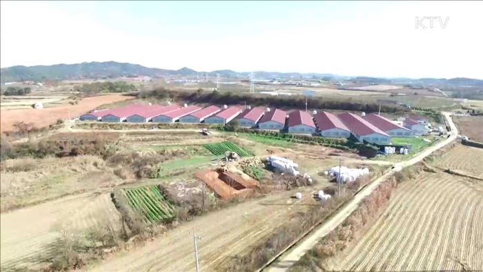 "AI 의심신고 감소 중…긴장의 끈 이어가야"