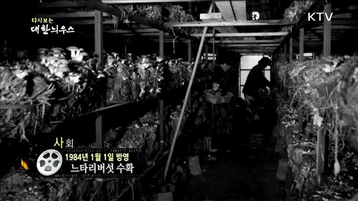 다시보는 대한늬우스 (84.01.01)