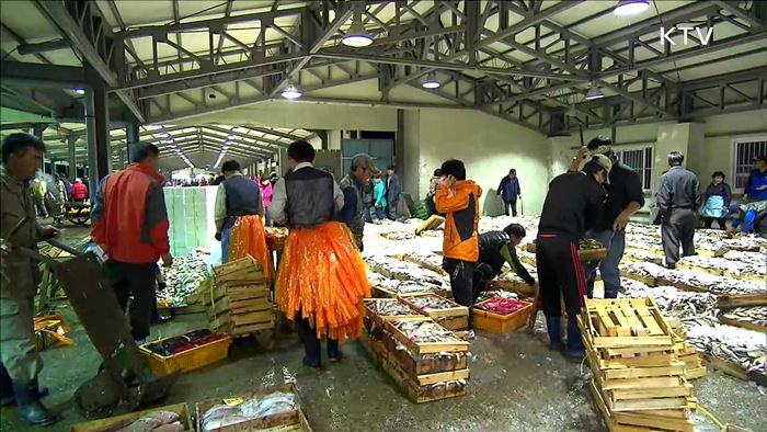 설 앞두고 비축 수산물 방출…10~30% 싸게 판매
