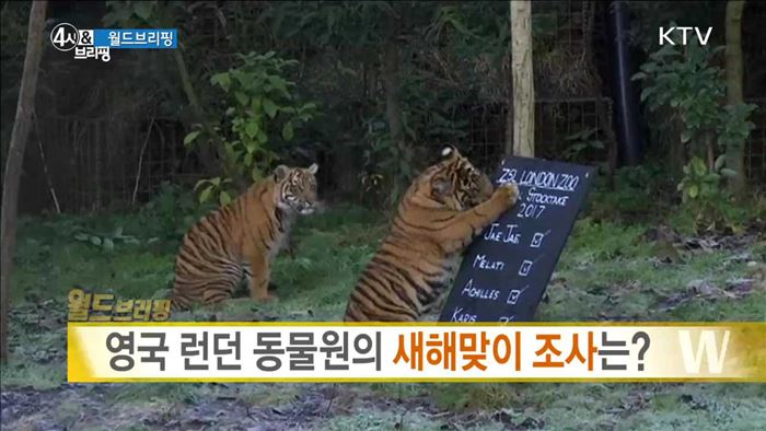 영국 런던 동물원의 새해맞이 조사는? [월드 브리핑]