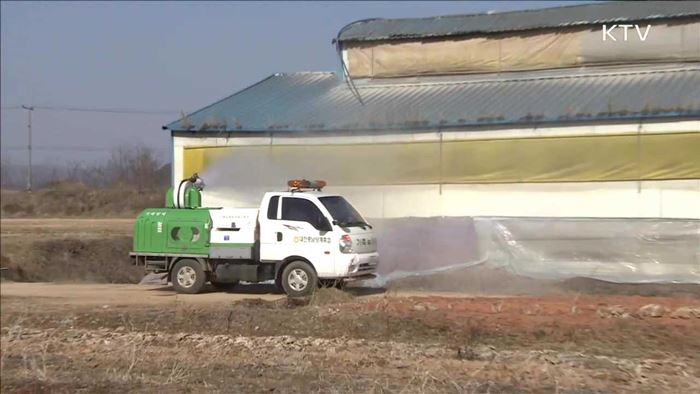 AI'진정 국면'…추가 확산 방지 만전