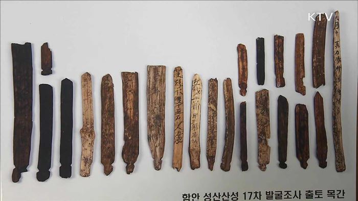 '공무원 반성문' 담긴 목간 …함안 성산산성서 출토