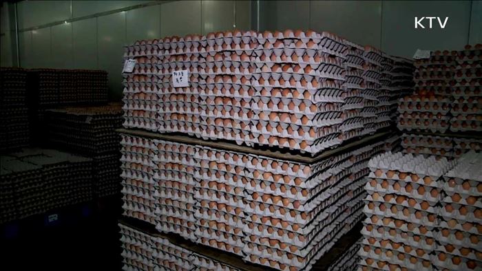 달걀 수입 시 운송료 50% 지원…수급 안정
