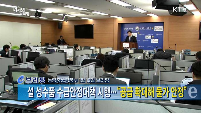 설 성수품 수급안정대책 시행···"공급 확대해 물가 안정" [e 브리핑]