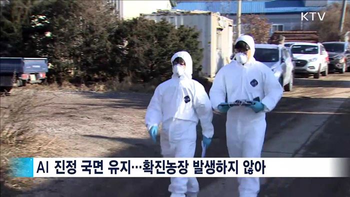 제주 농가 특이사항 없어…방역대설정·이동제한