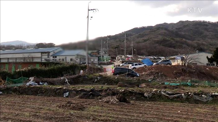 AI 진정 국면 유지…제주도서 첫 확진 판정