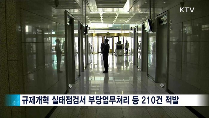 규제개혁 저해행태 집중점검…"불합리한 사항 즉시 개선"