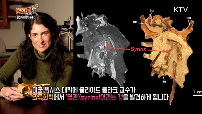 융합과학과 조류의 발견