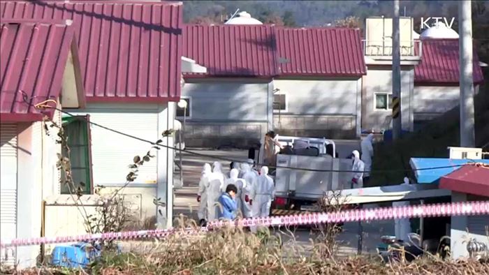 나흘째 의심신고 '0건'…"경각심 늦춰선 안돼"